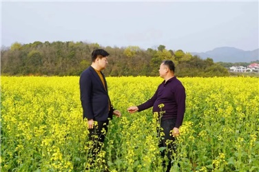 四十年綠脈：22.5萬畝土地上的生長與堅守