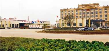 長康40年｜一粒芝麻的微光，照亮四十年山河