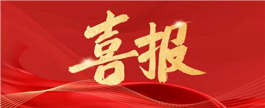 喜訊！長康實業(yè)上榜2024年度“岳陽民營企業(yè)50強” ！
